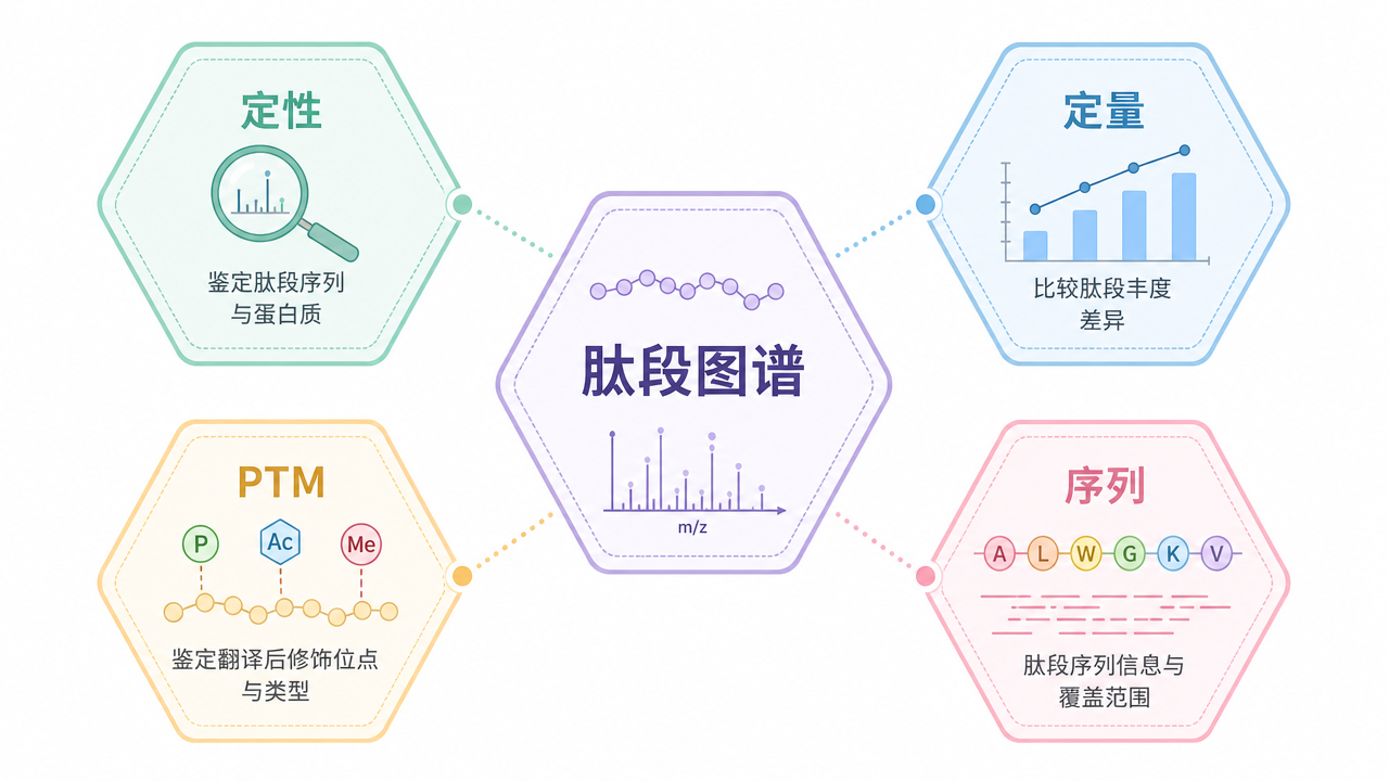 「肽谱」一次实验多目标读出的示意