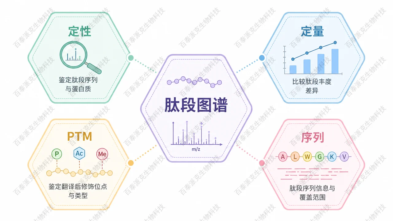「肽谱」一次实验多目标读出的示意