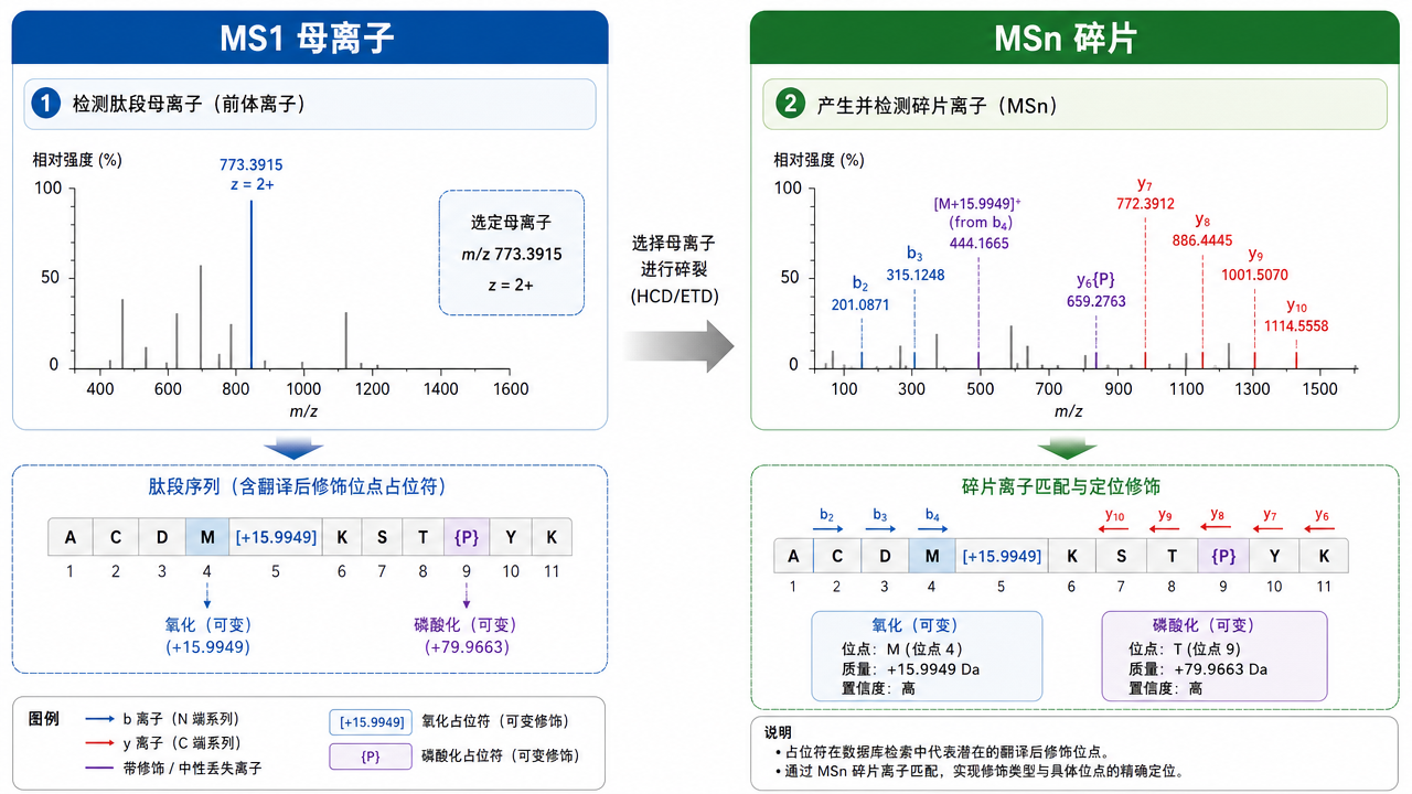 MS&sup1; 捕获与 MSⁿ 碎裂的差异