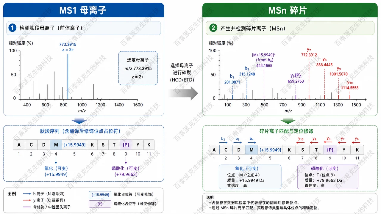 MS¹ 捕获与 MSⁿ 碎裂的差异