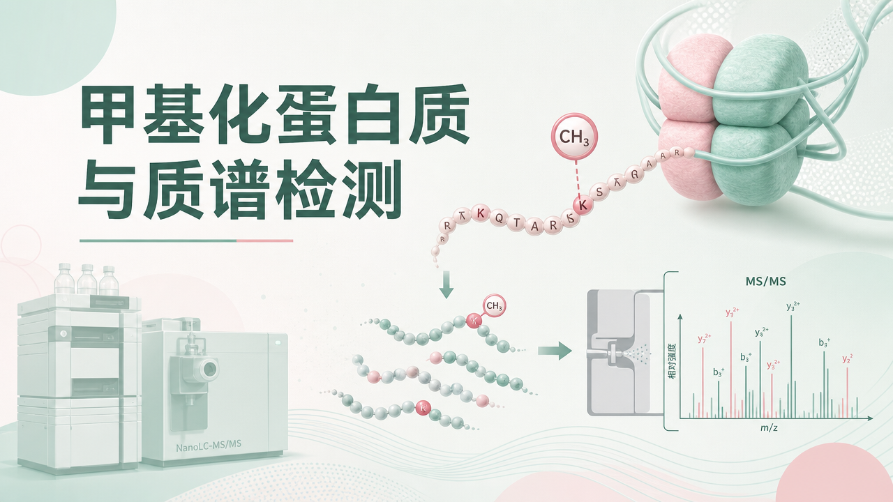 封面:甲基化蛋白与高通量质谱 封面:甲基化蛋白与高通量质谱
