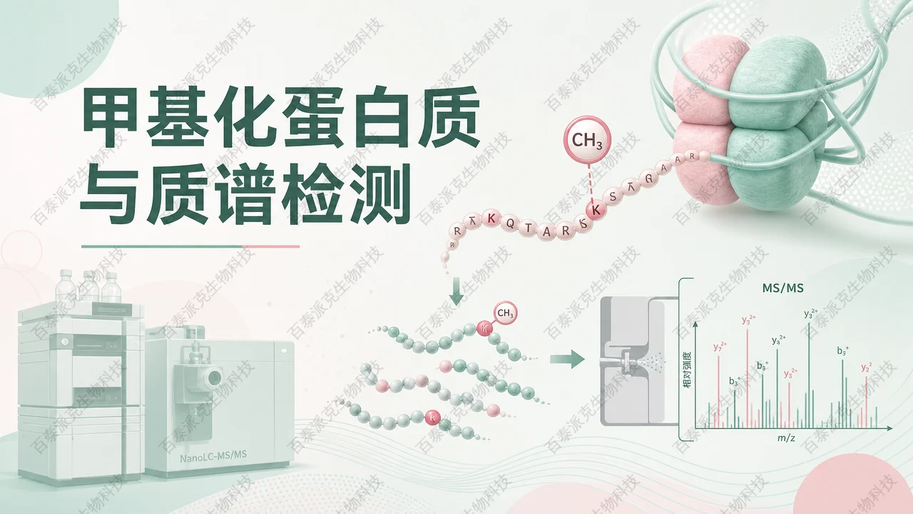 封面：甲基化蛋白与高通量质谱