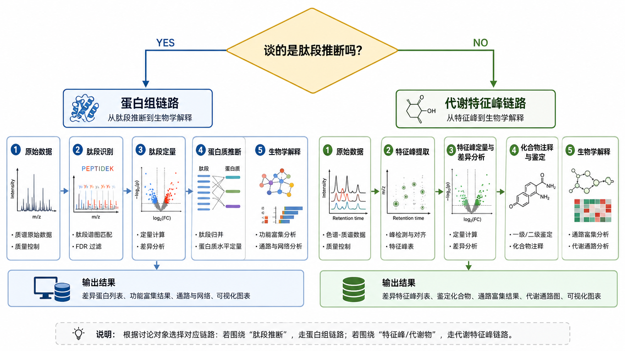 「蛋白组话术」≠「代谢组实验」的简单决策提示 「蛋白组话术」≠「代谢组实验」的简单决策提示