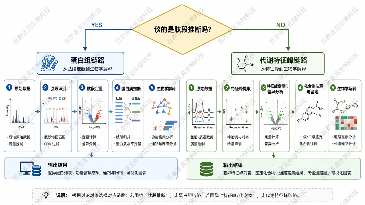 「蛋白组话术」≠「代谢组实验」的简单决策提示