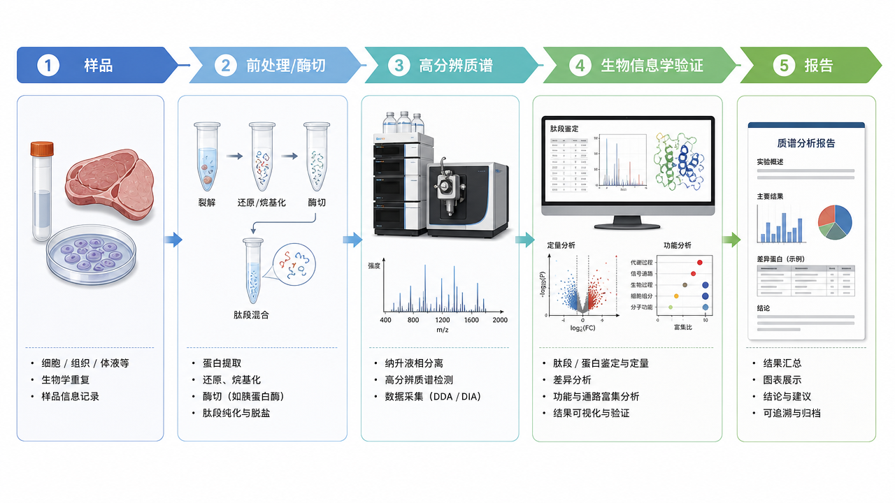 服務側：高分辨質譜與信息學分析在交付鏈中的位置