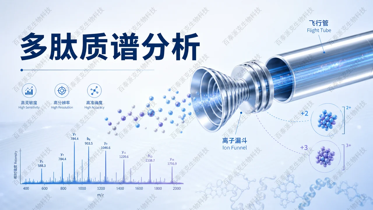 封面：多肽质谱分析概览