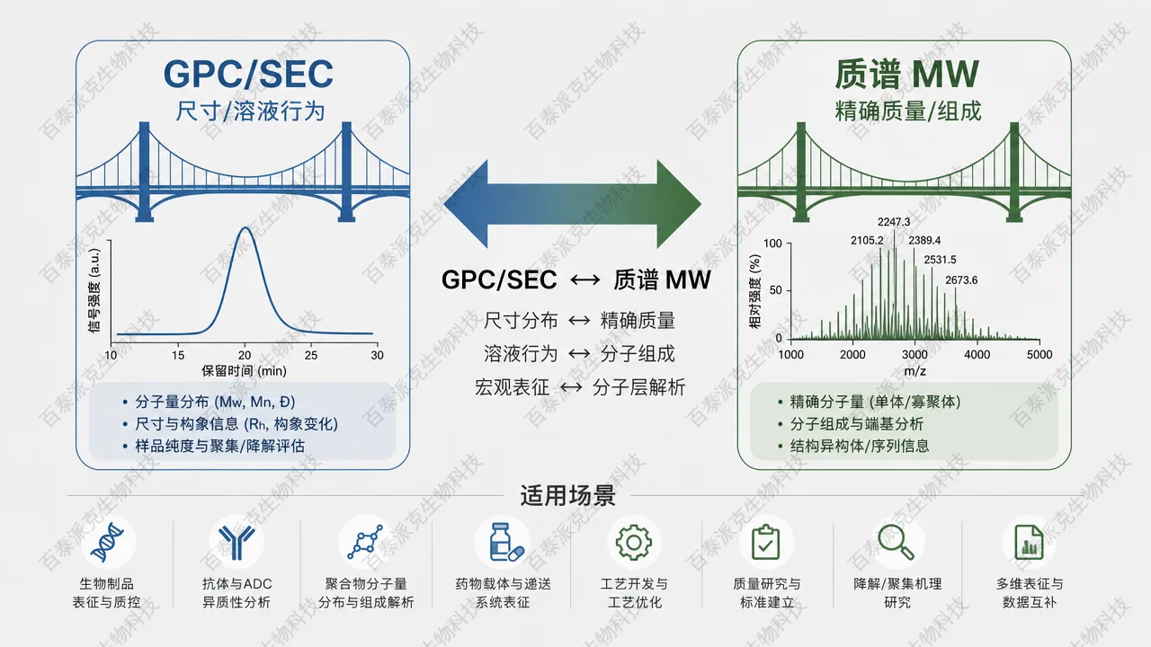 GPC／SEC 与高分辨质谱的互补关系