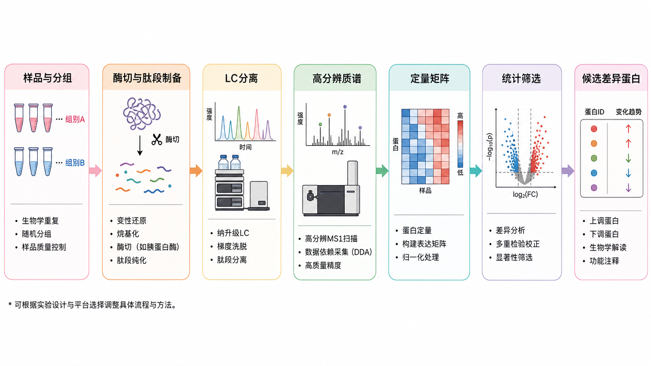 從樣品分組到差異蛋白候選的典型蛋白質(zhì)組學(xué)流程