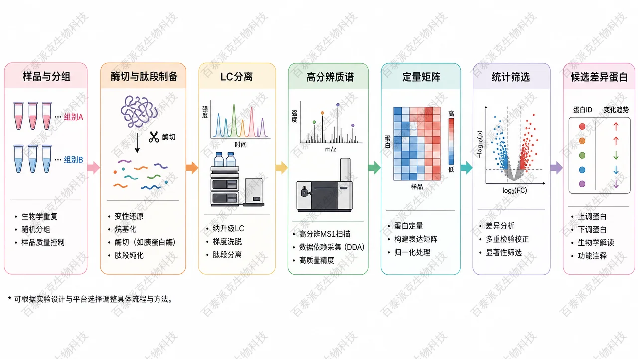 从样品分组到差异蛋白候选的典型蛋白质组学流程