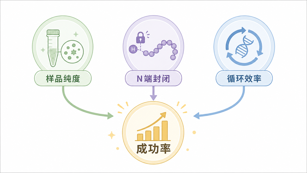影響 Edman 成功率的主要因素：純度、N 端封閉與起始氨基酸環境
