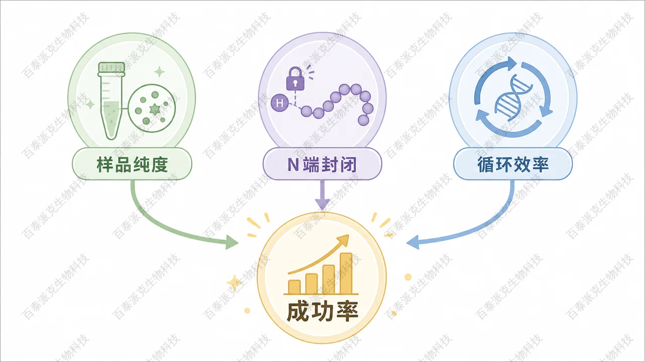 影响 Edman 成功率的主要因素：纯度、N 端封闭与起始氨基酸环境