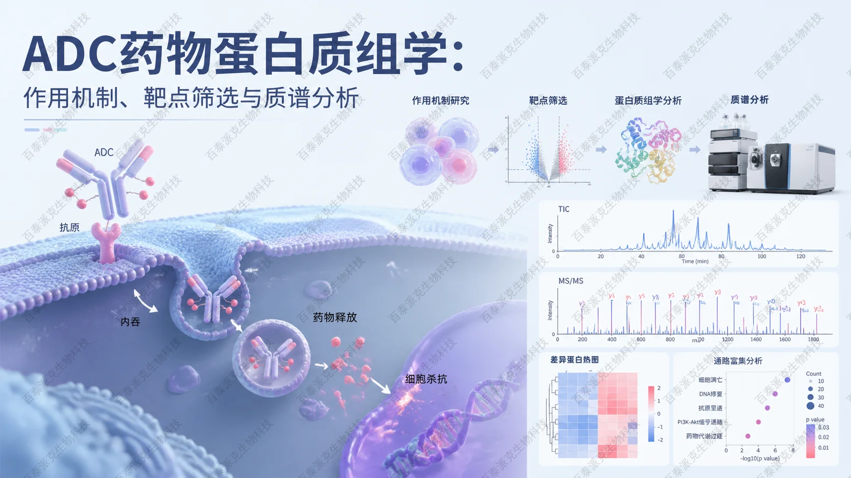 2054409315593310208-ADC药物蛋白质组学1_已修改.png