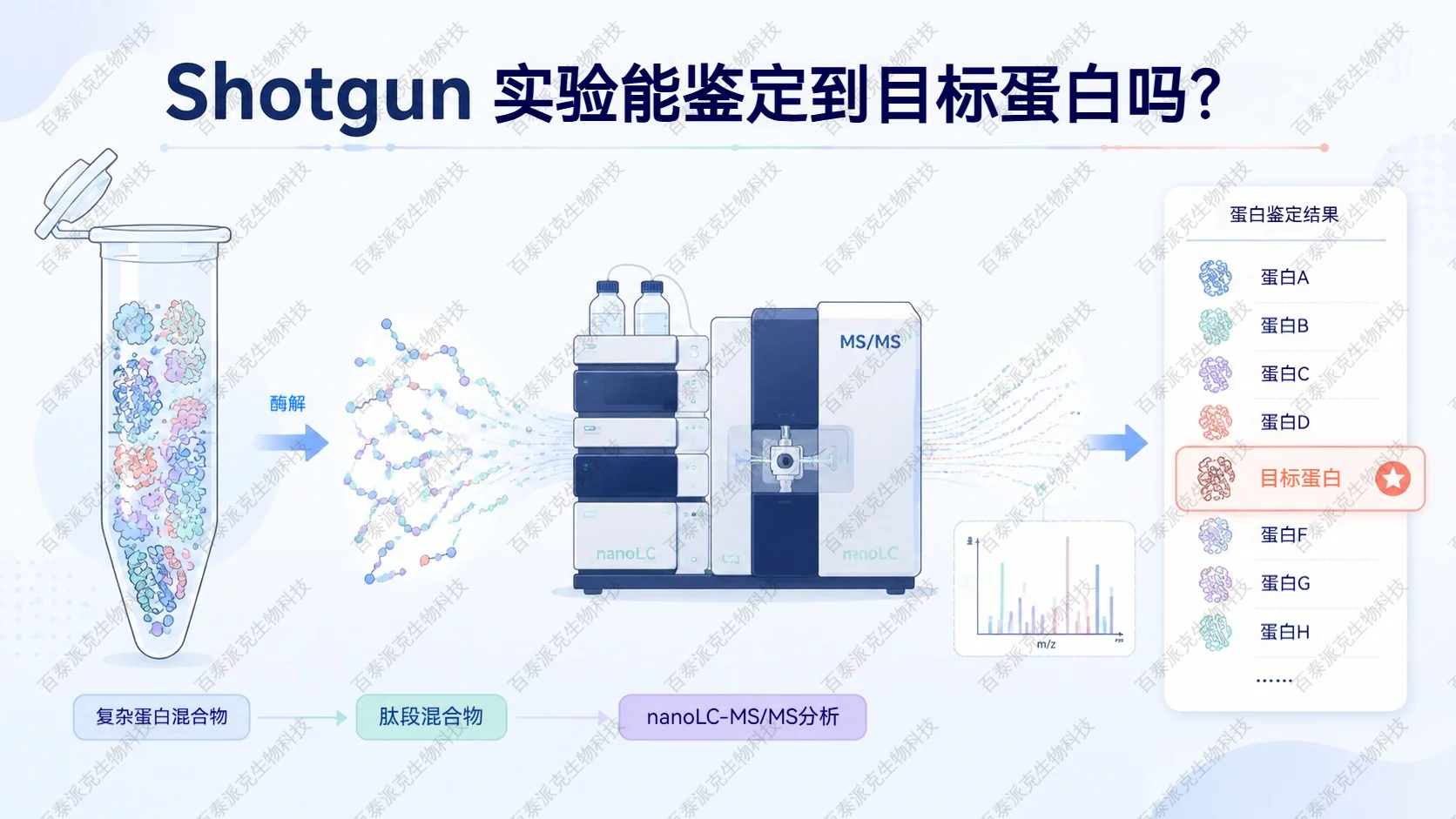 2054437390783696896-shoutgun实验.jpg