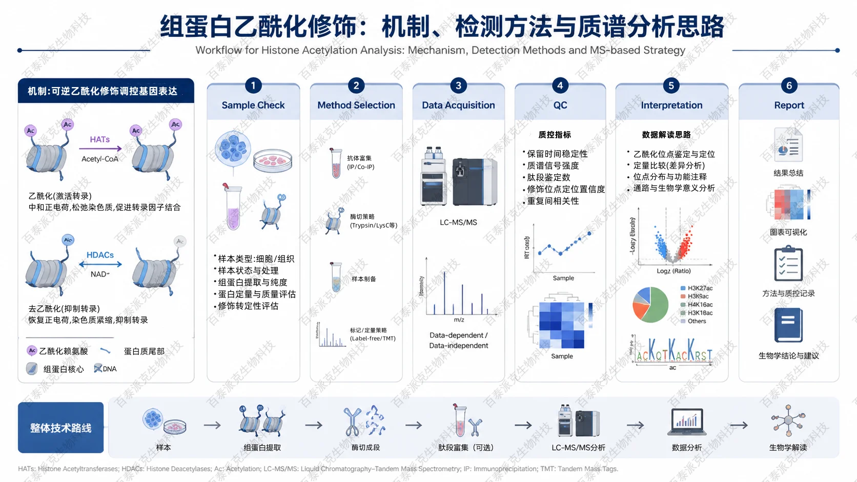 2054450401552453632-histone-acetylation-analysis-guide3_已修改.png
