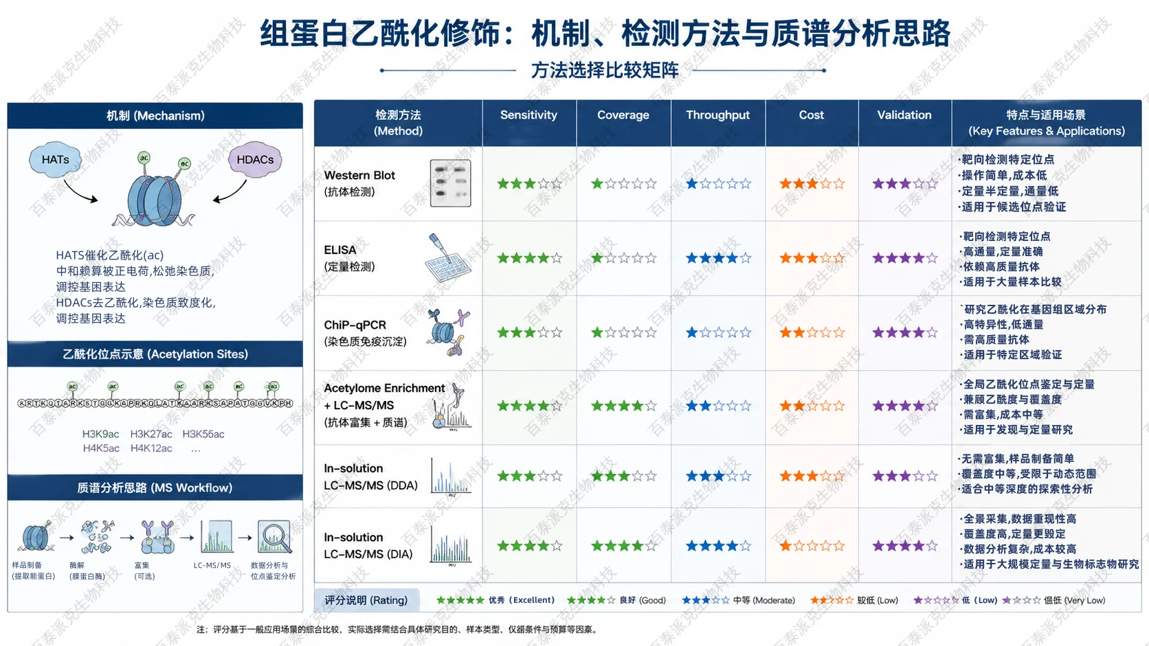 2054450590266773504-histone-acetylation-analysis-guide4_已修改.png