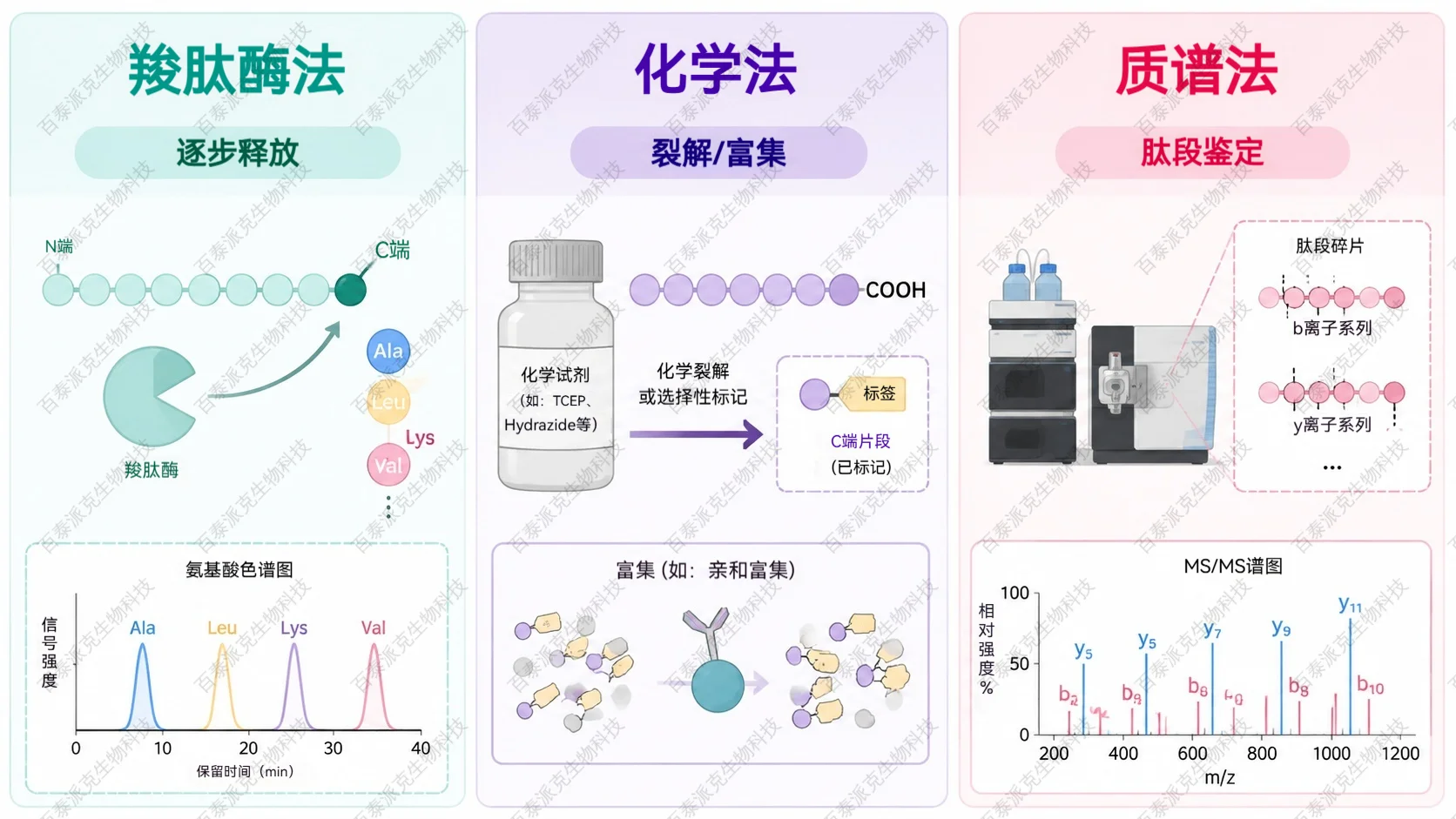 2054463047387402240-C端测序.png
