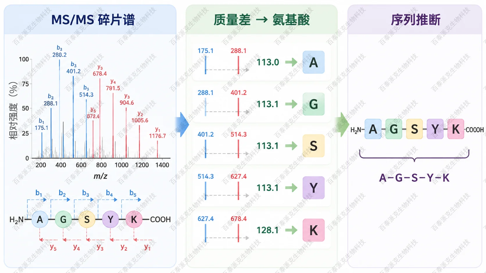 De novo 测序通过碎片离子质量差推导氨基酸序列