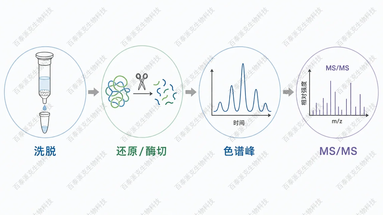 2054800964920102912-fc144c62e44048cfb16ff4afa225f78a-02-ip-to-ms-chain1.png