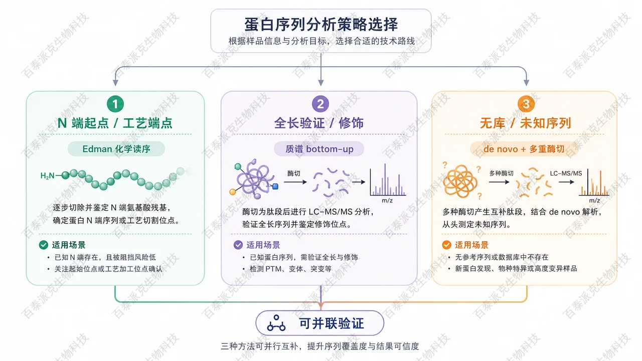 质谱路线、Edman 与 de novo 方法选择示意