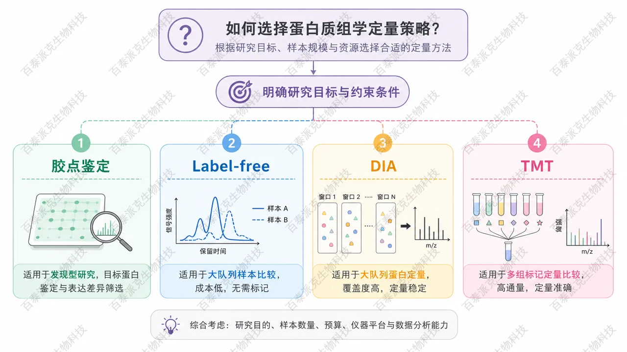 胶点鉴定、Label-free、DIA、TMT 定量策略选型示意