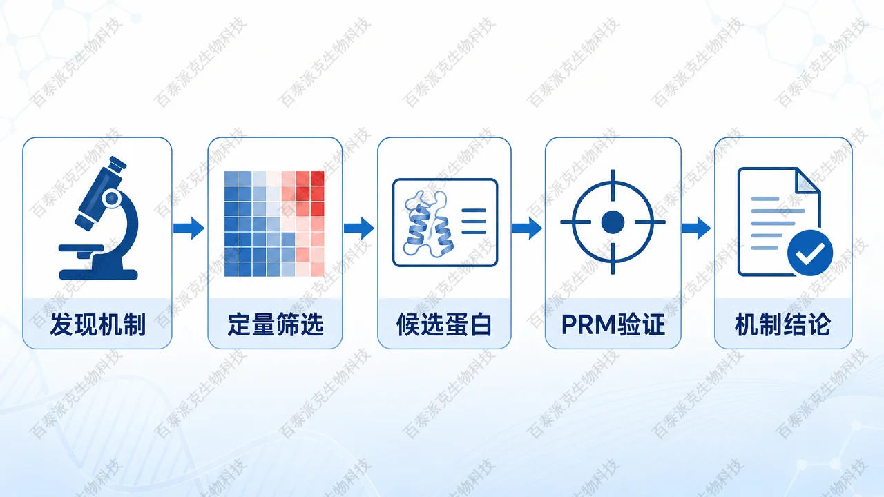 从发现型蛋白质组学到靶向蛋白定量验证的路线选择