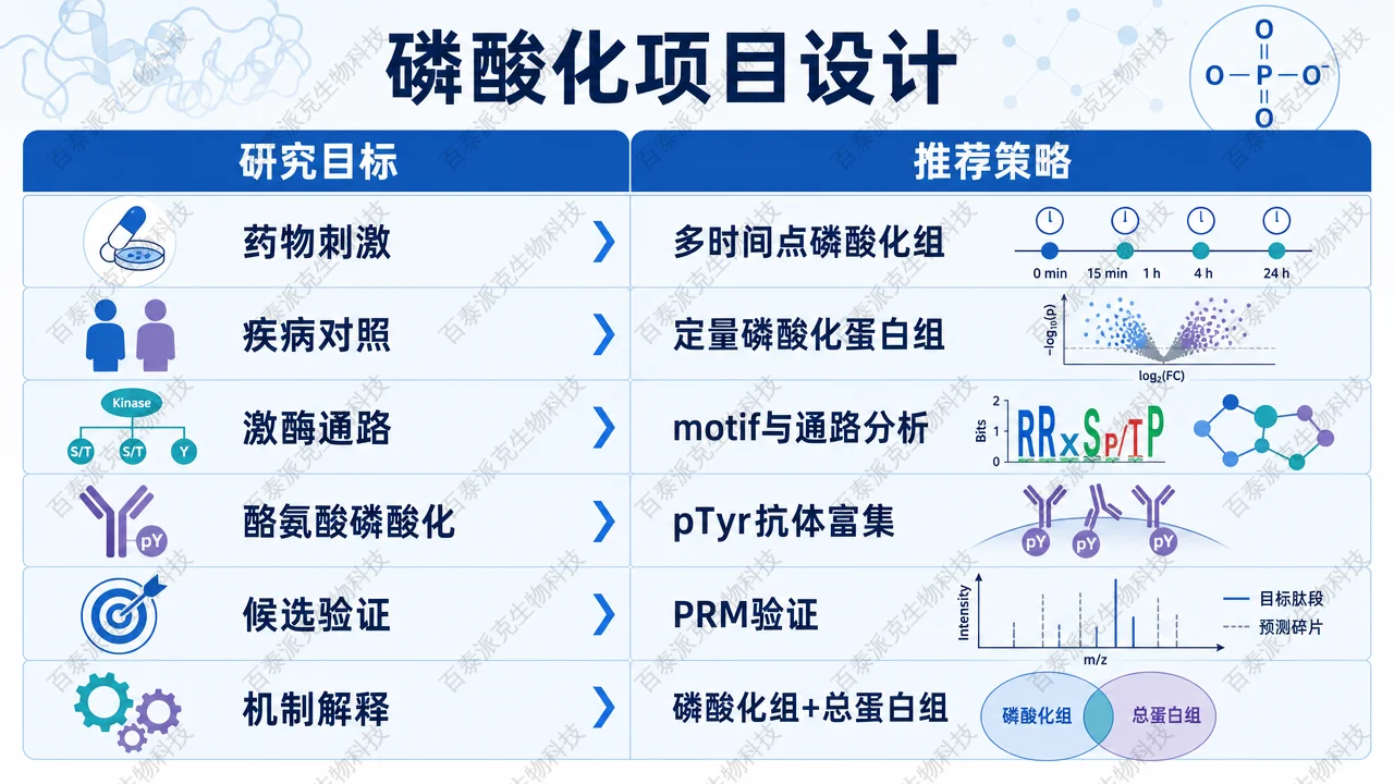 按研究目标设计磷酸化定量蛋白组学方案