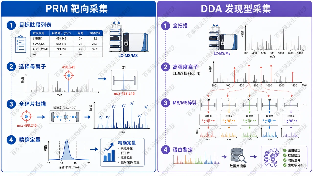 PRM 与 DDA 在目标选择和碎片采集方式上的差异