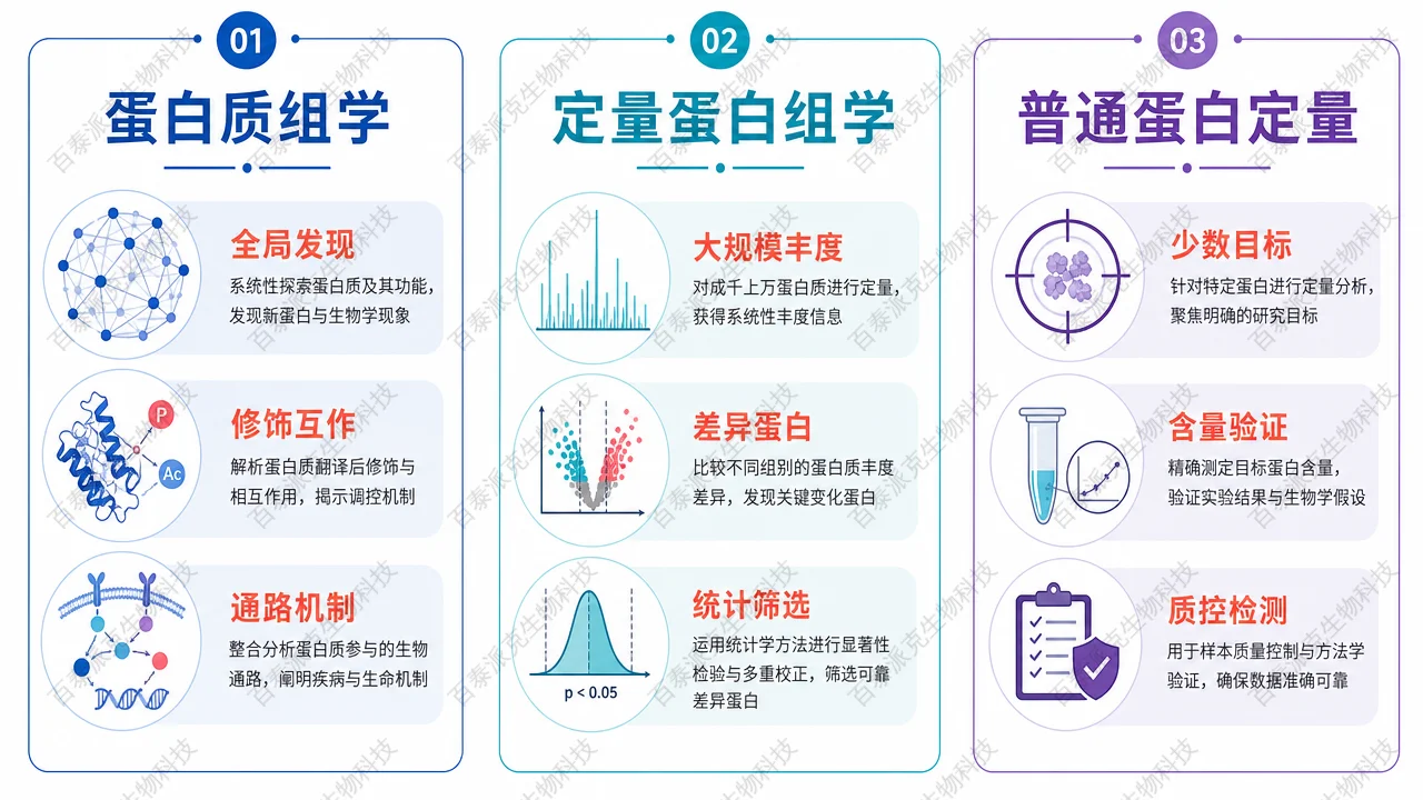 蛋白质组学、普通蛋白定量和定量蛋白组学的范围对比