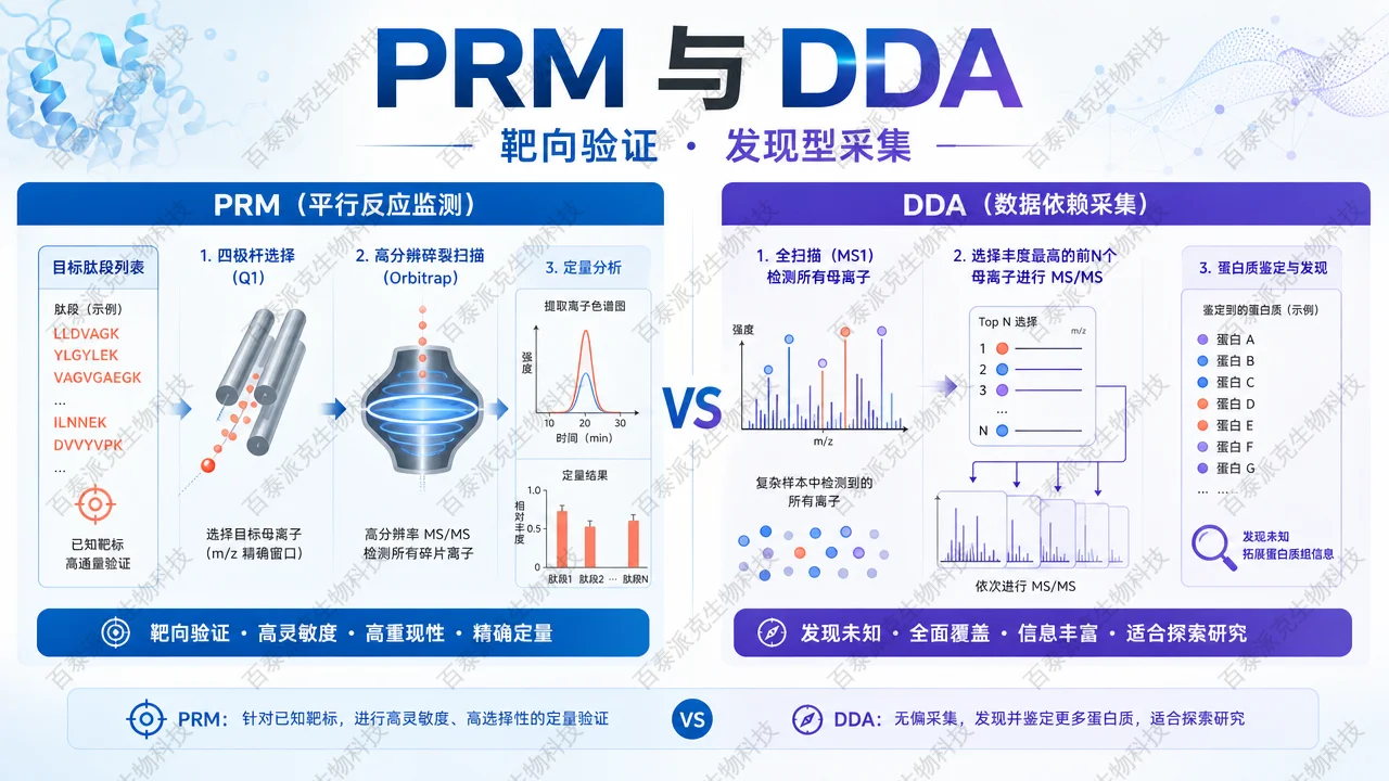 封面：PRM 与 DDA 蛋白质组学采集模式对比