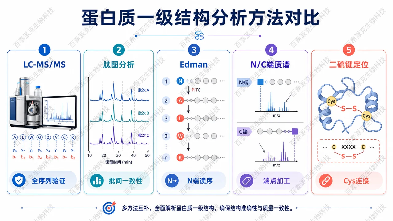 蛋白一级结构测定常用方法的分工对照