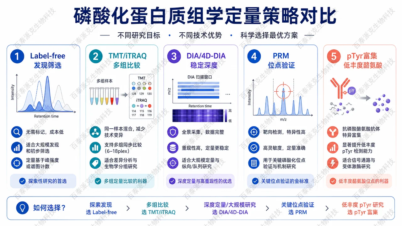 磷酸化定量策略的适用场景对比