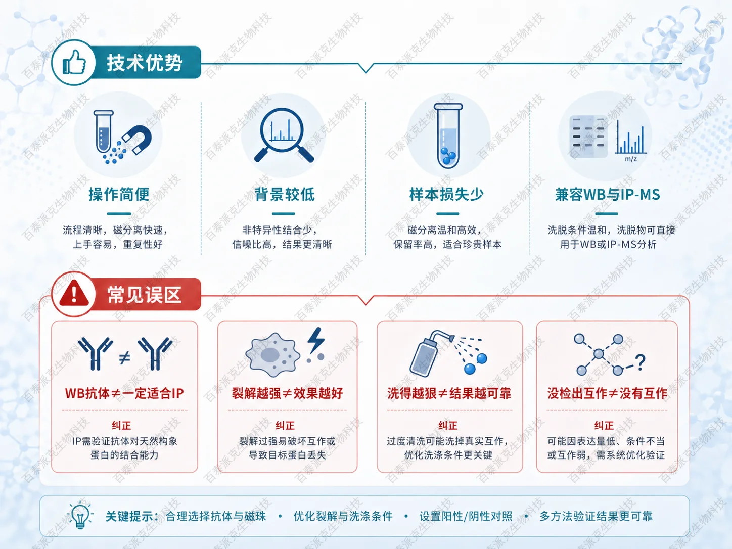 磁珠法免疫沉淀技术优势与常见实验误区图