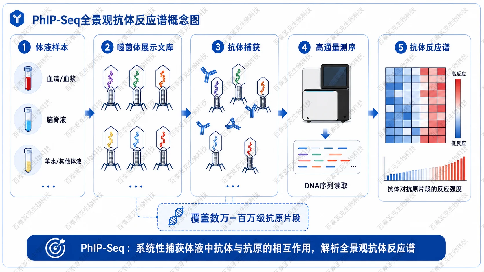 PhIP-Seq全景观抗体反应谱概念图