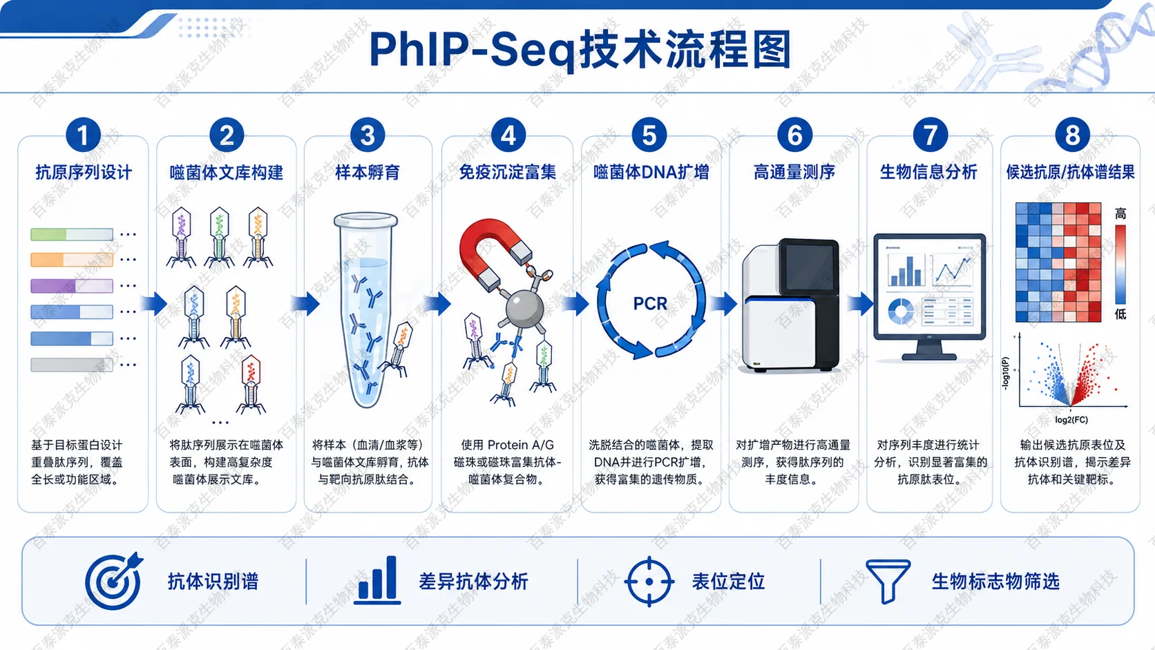 PhIP-Seq技术流程图