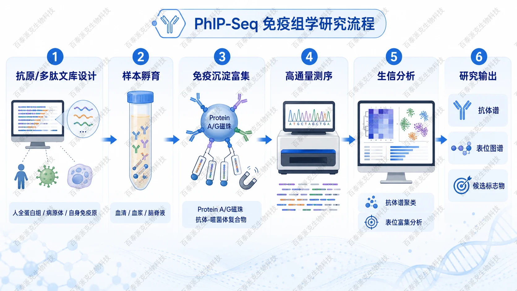 PhIP-Seq免疫组学研究流程
