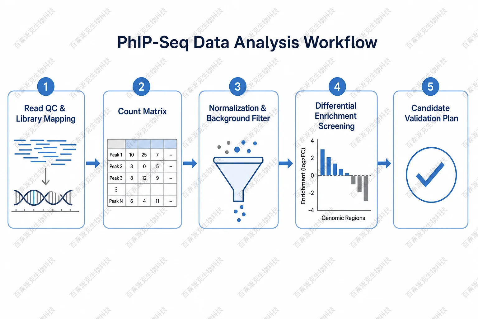 PhIP-Seq Data Analysis Workflow
