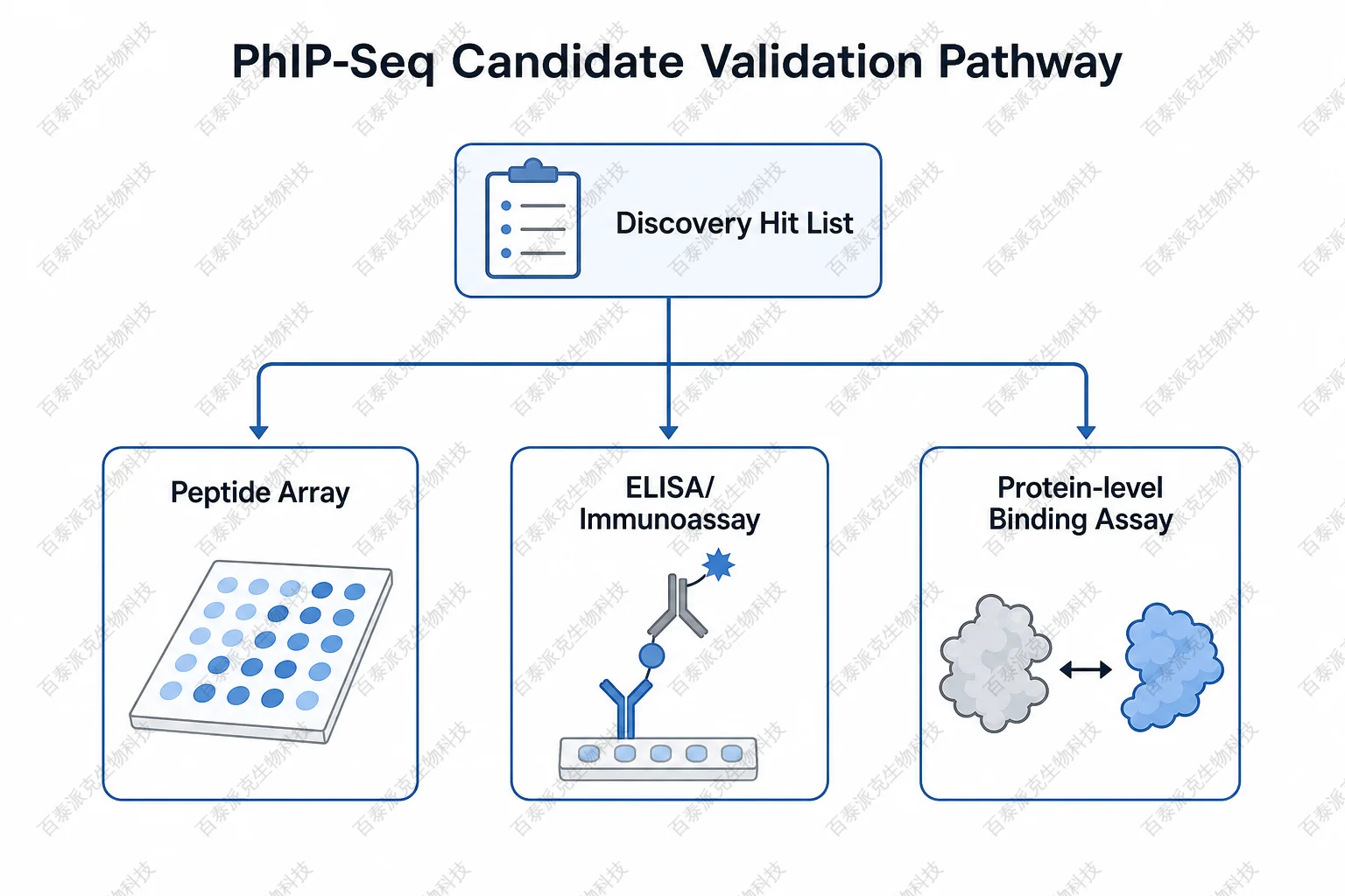 2074735681534513152-phip-seq-candidate-validation-pathway.png