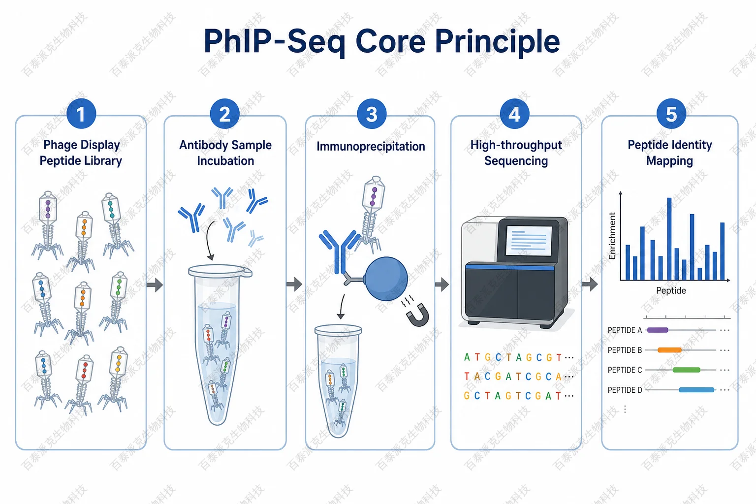 2074739592131596288-phip-seq-core-principle-workflow.png