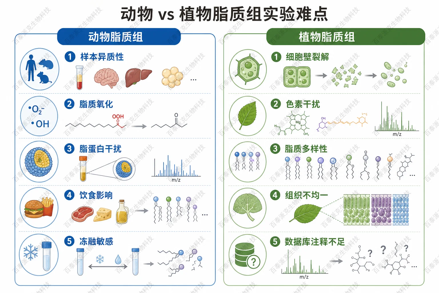 动物与植物脂质组实验难点对比示意图 动物与植物脂质组实验难点对比示意图