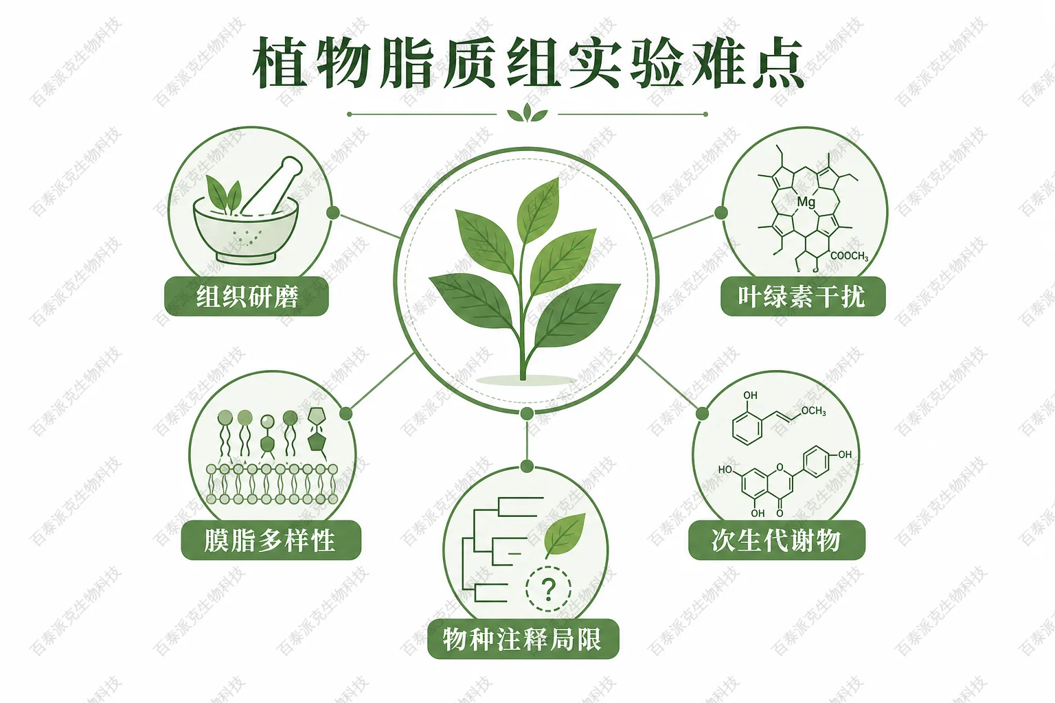 植物脂质组实验难点示意图 植物脂质组实验难点示意图