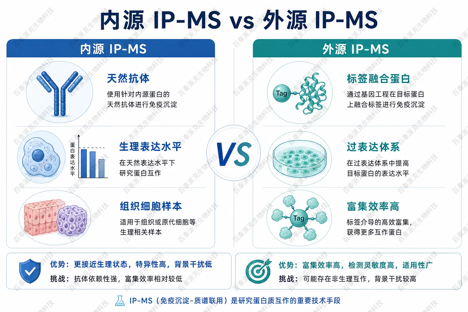 内源 IP-MS 与外源 IP-MS 对比示意图