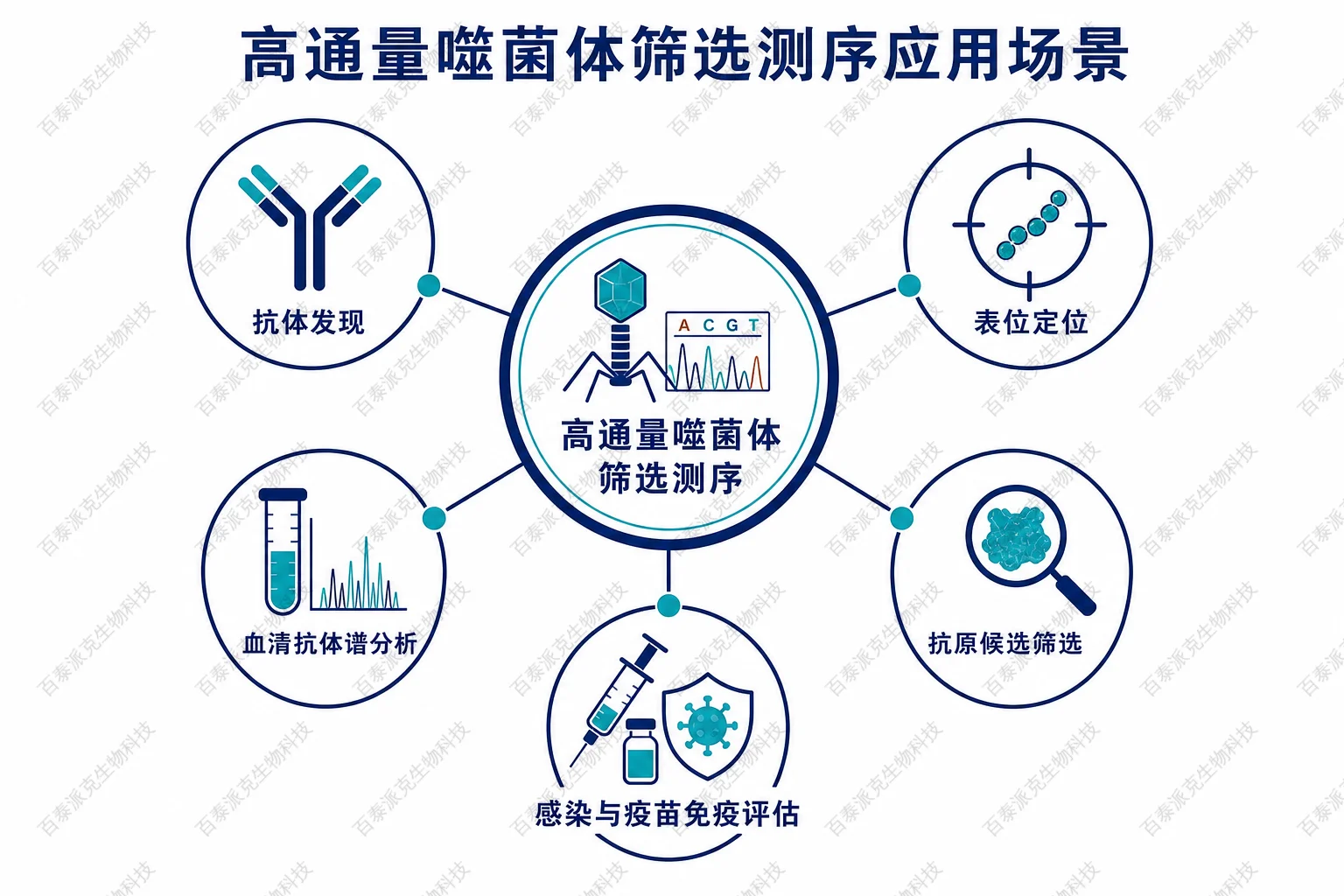 高通量噬菌体筛选测序应用场景示意图 高通量噬菌体筛选测序应用场景示意图
