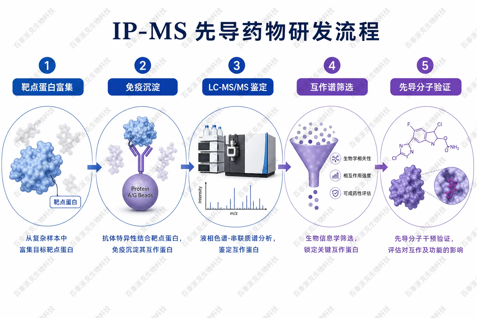 IP-MS 先导药物研发流程示意图 IP-MS 先导药物研发流程示意图