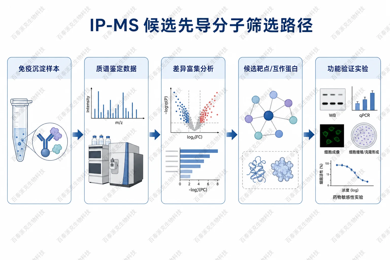 IP-MS 候选先导分子筛选路径示意图 IP-MS 候选先导分子筛选路径示意图