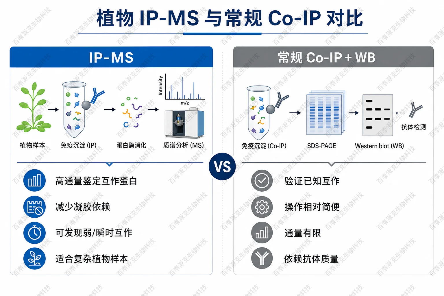 IP-MS 与常规 Co-IP 方法对比示意图 IP-MS 与常规 Co-IP 方法对比示意图