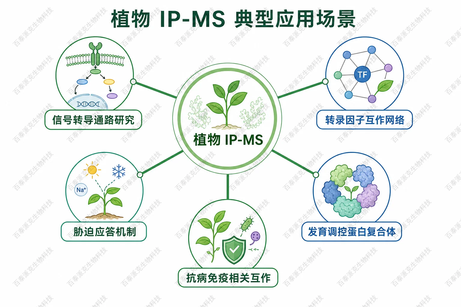 植物 IP-MS 典型应用场景示意图 植物 IP-MS 典型应用场景示意图