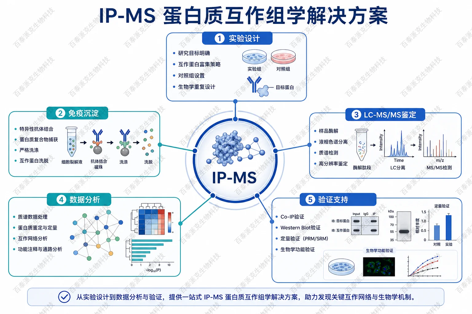 IP-MS 蛋白质互作组学解决方案概览示意图 IP-MS 蛋白质互作组学解决方案概览示意图