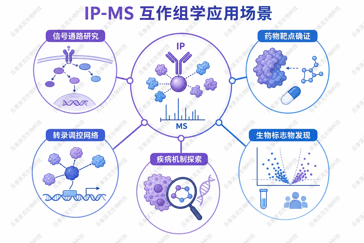 IP-MS 互作组学应用场景示意图 IP-MS 互作组学应用场景示意图