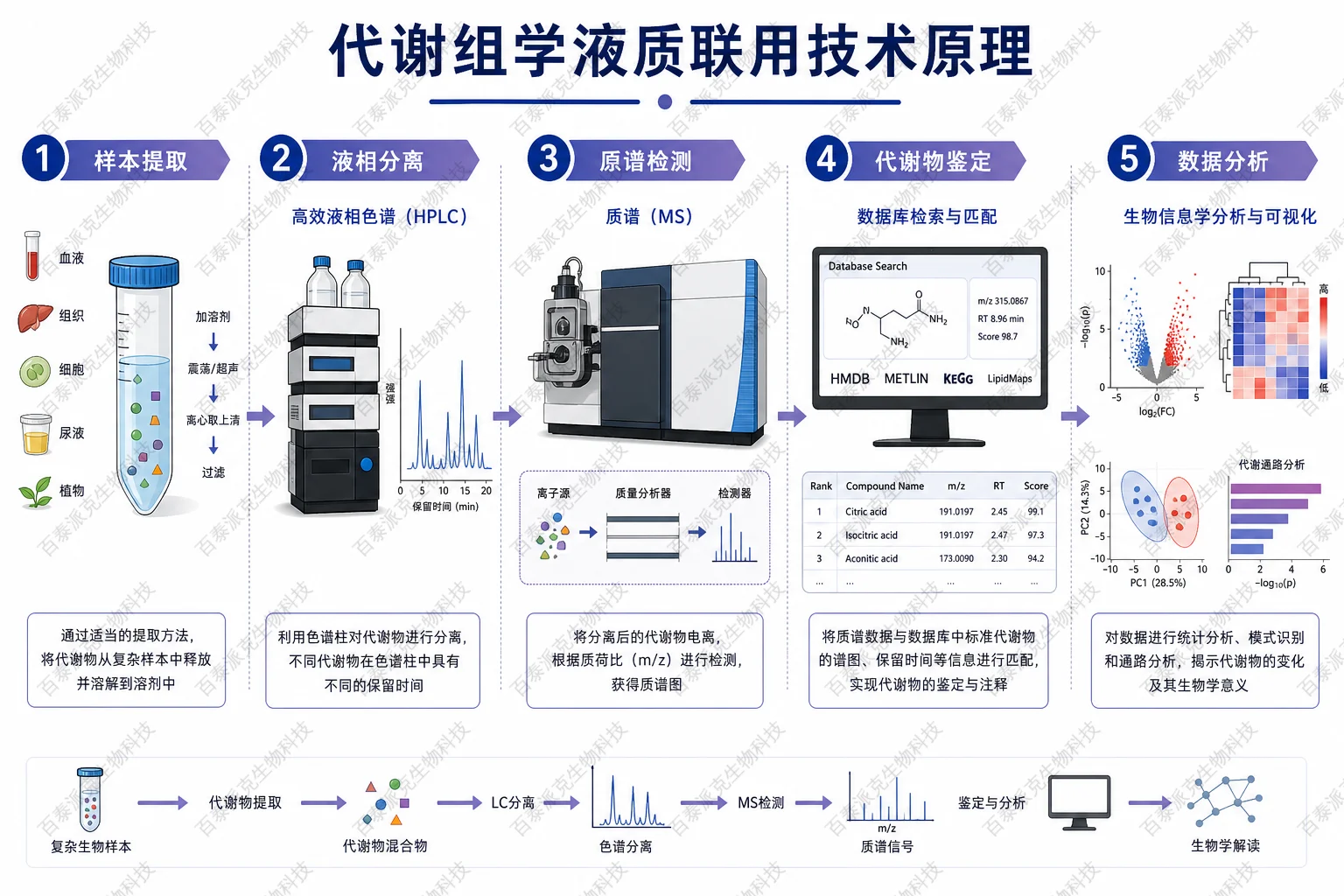 代谢组学液质联用技术原理示意图 代谢组学液质联用技术原理示意图