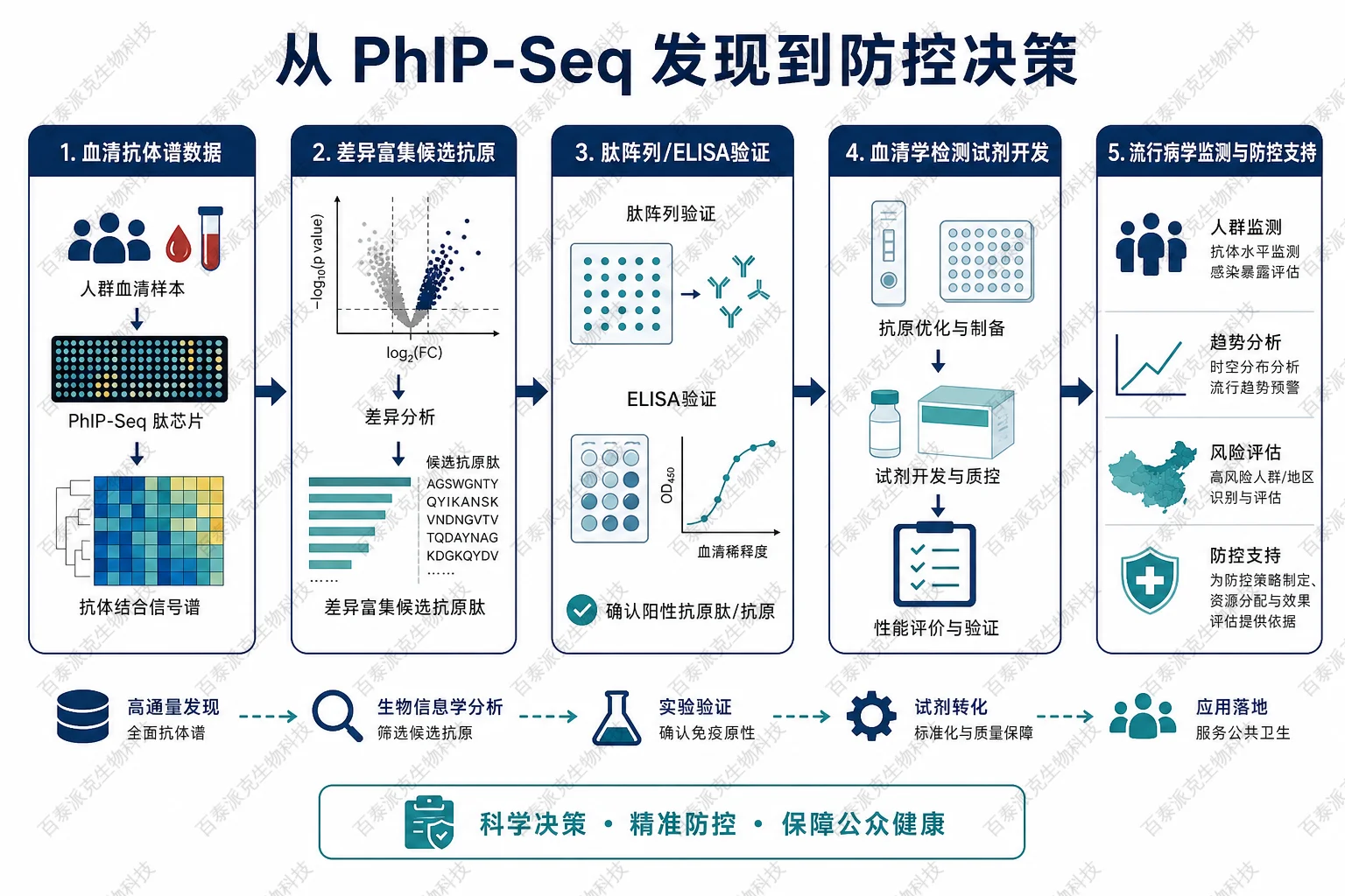 从 PhIP-Seq 发现到防控决策示意图 从 PhIP-Seq 发现到防控决策示意图